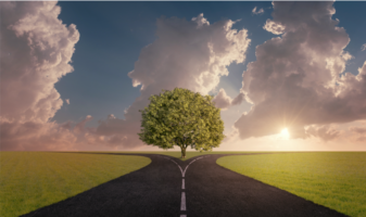 New climate roadmap for foodservice, grocery and retail