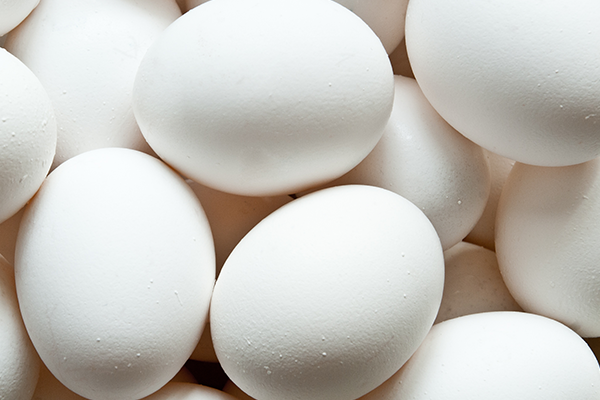 Egg supply threatened by crippling costs