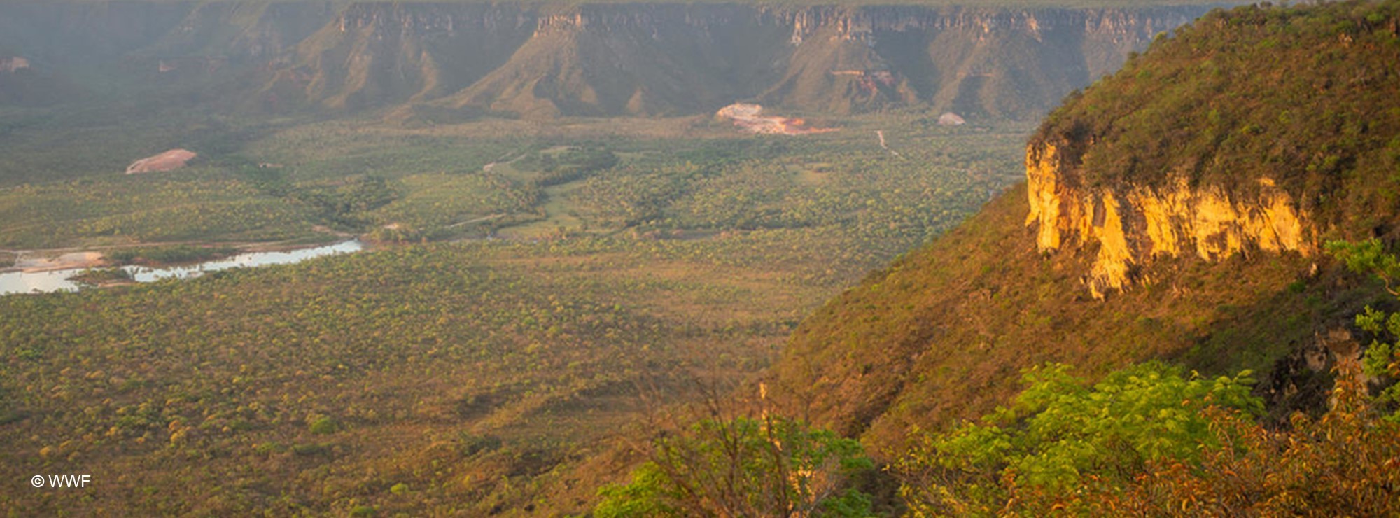 Supermarkets pilot sustainable soya initiative