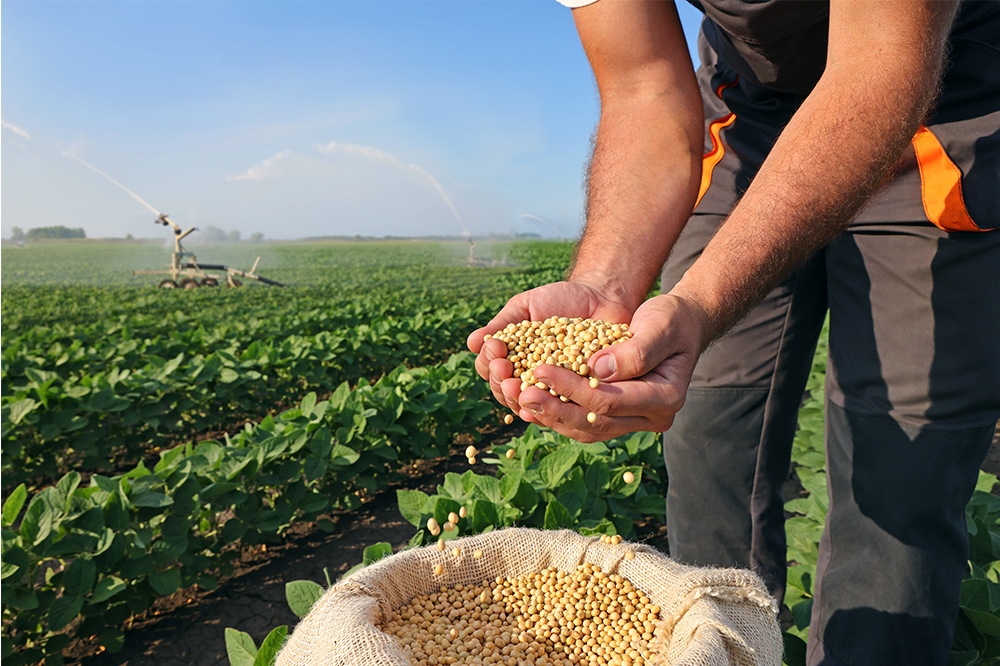 Foodservice Footprint soy2 Farm budget must soar to meet nature goals Foodservice News and Information  news-email email-news 