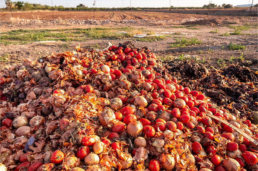 Comment: Time to tackle the farm waste scandal