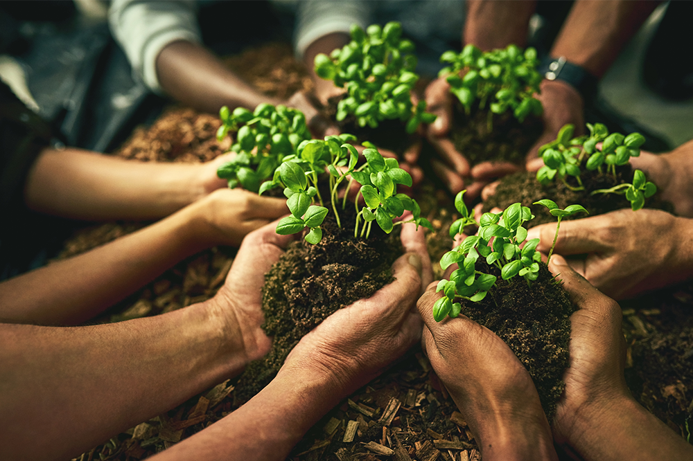 Foodservice Footprint Site Unlocking the community benefits of regenerative agriculture from field to fork, in association with Nestlé Professional Reports  news-email most-read email-news 