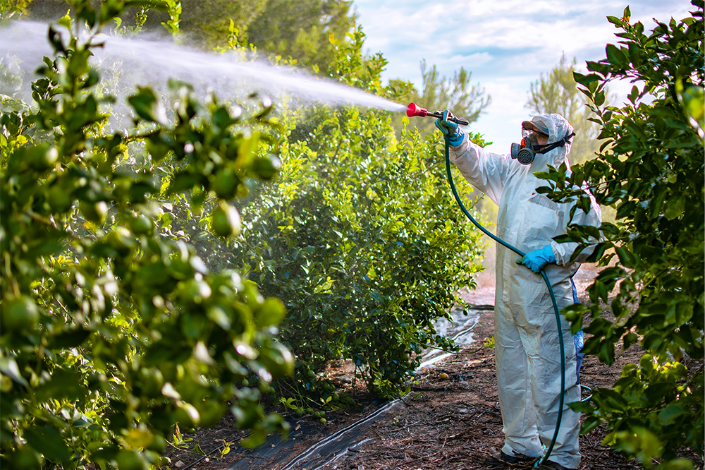 Pesticides found on domestic and imported foods a cause for concern