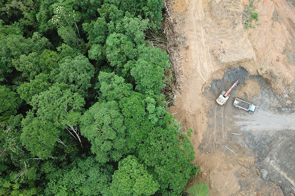 Deforestation, dodgy green claims and delays