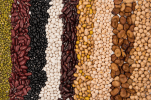 fibre food trend