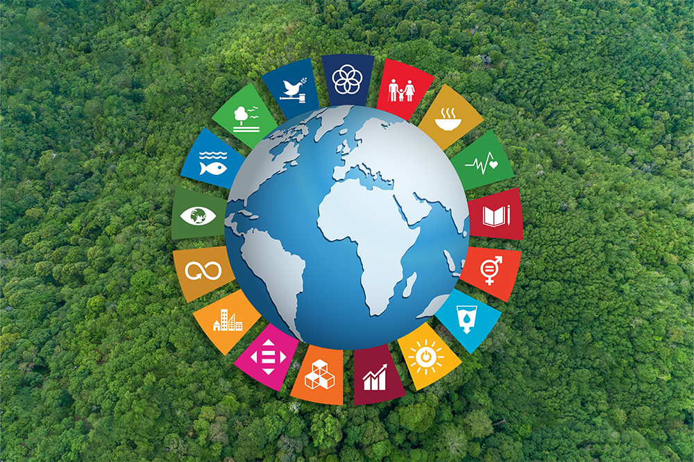 Are the SDGs still relevant?