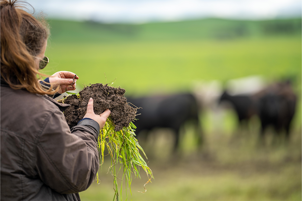 Launch Preview: Growing Regenerative Agriculture: How businesses can help deliver impact at scale, in association with Nestlé Professional.