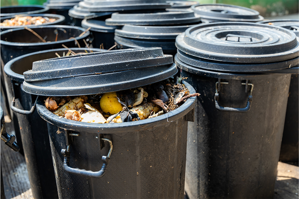 Minister hints at green light for food waste reporting