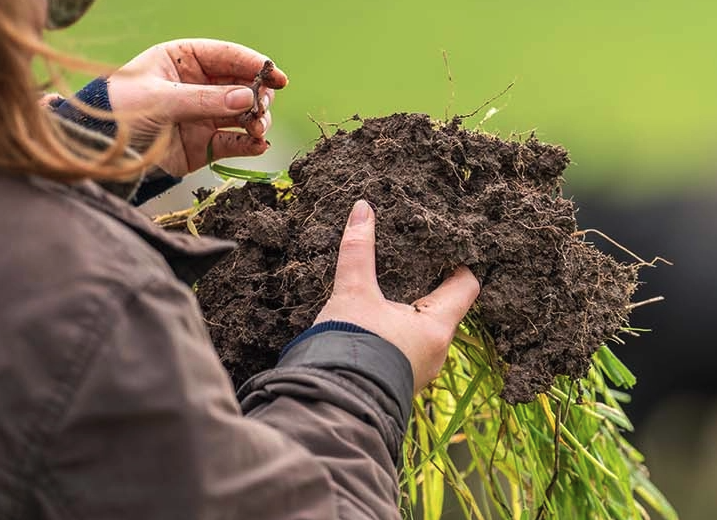 Regenerative Agriculture