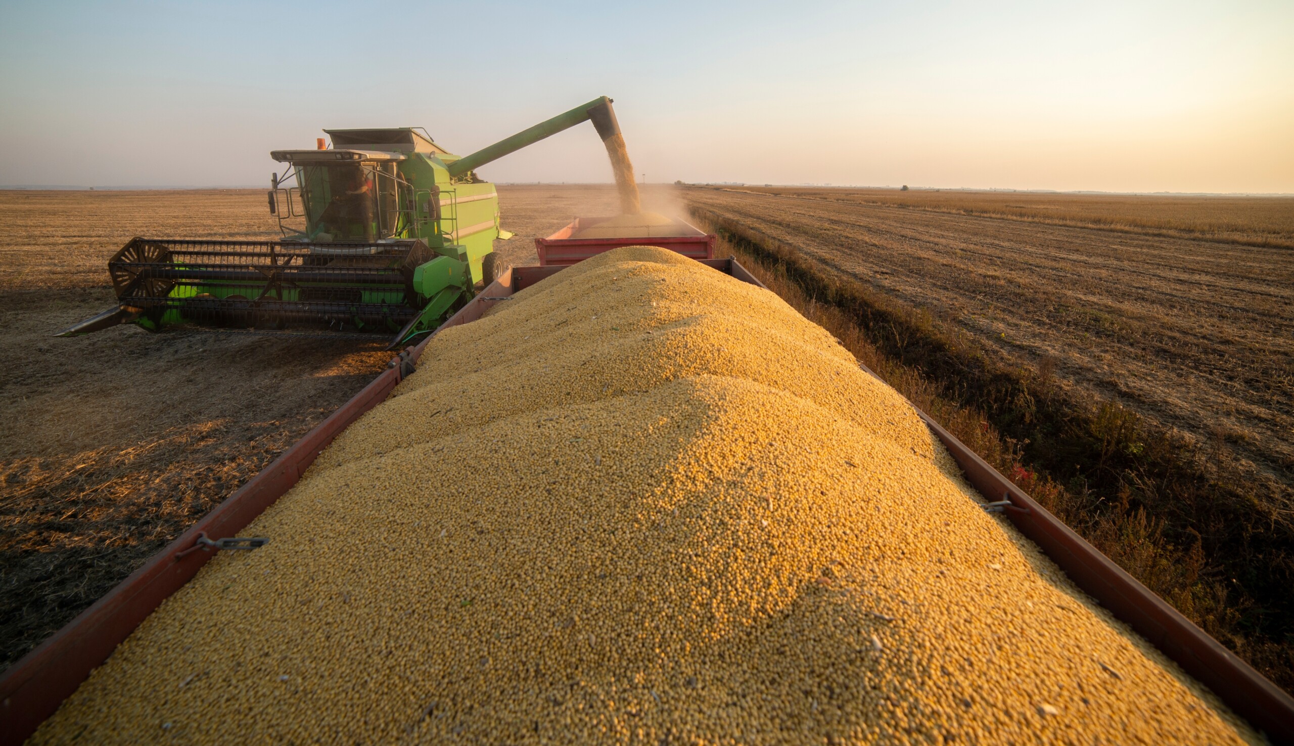 Food giants urged to boycott soy pledge breakers