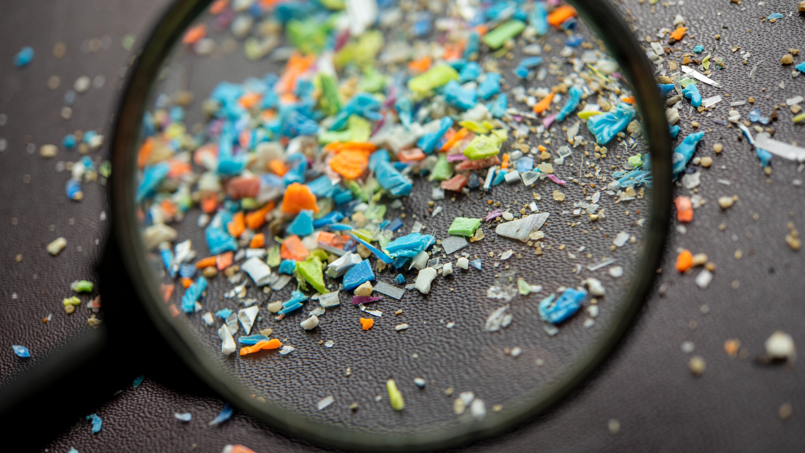 Microplastic studies called into question