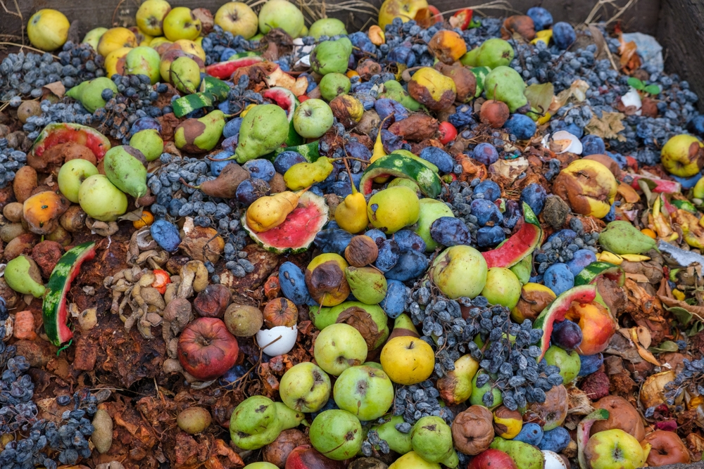 Can food waste reduction get back on track?