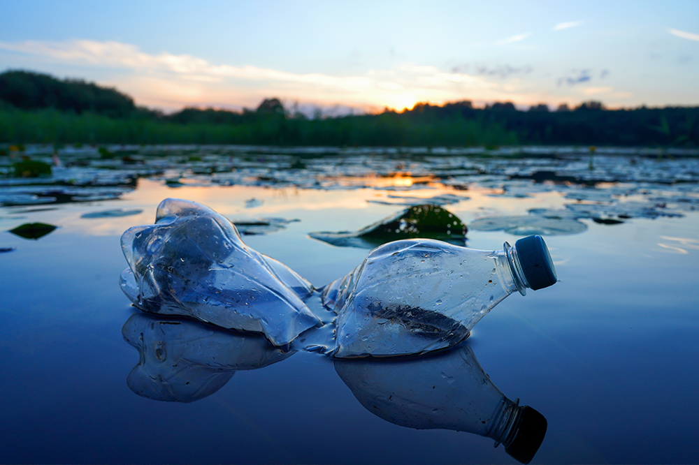 microplastics and human health