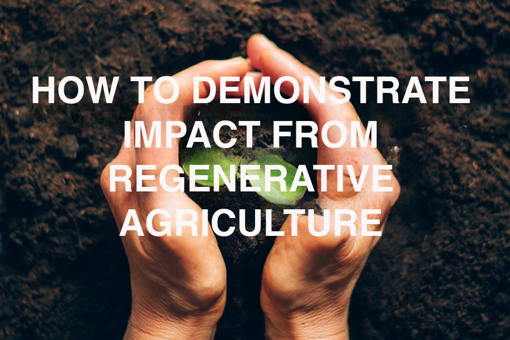 Sustainability Bites in association with Nestlé Professional. Episode 7: How to demonstrate impact from regenerative agriculture