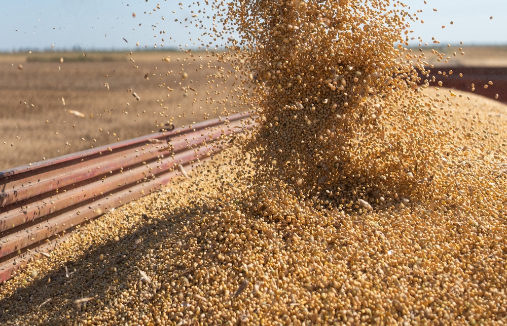 Soy sustainability at a crossroads