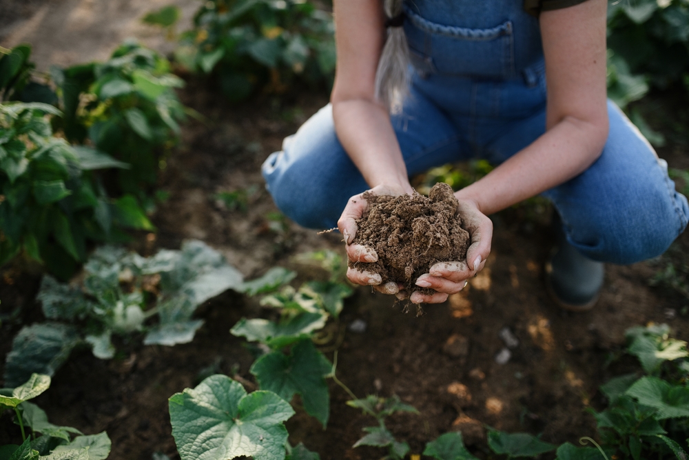 leaving food policy to Tesco