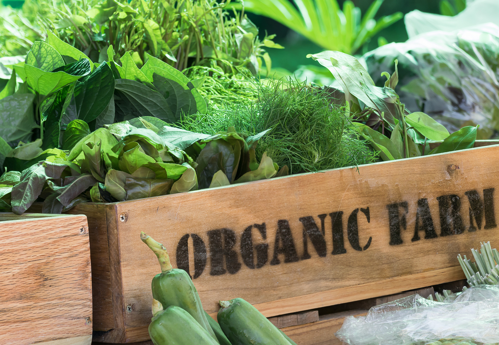 Will organic ever feel the love from foodservice?