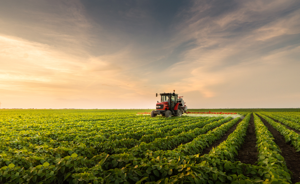 Food system resilience and sustainability in modern food supply chains