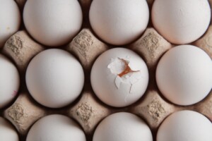 eggs sourcing policies