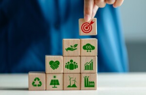 The Small Print podcast with Emily Coon discussing sustainability leadership